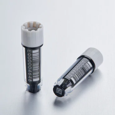 艾本德Eppendorf CryoStorage Vial，無(wú)菌, 無(wú)菌, 0.5 mL, 不含 DNase、RNase、人類(lèi) DNA 和內(nèi)毒素；外螺紋，預(yù)先加蓋灰色管蓋，帶 2D SafeCode 